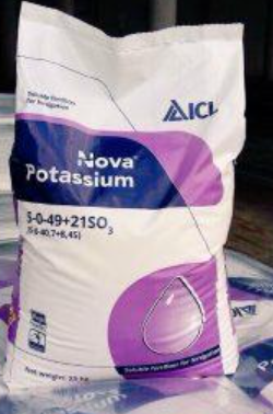 PHÂN BÓN NOVA POTASSIUM CAO CẤP