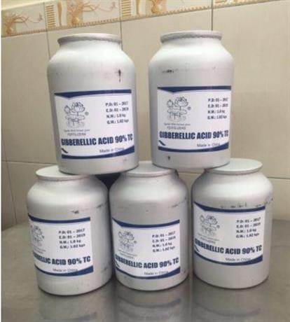 PHÂN PHỐI GIBBERELLIC ACID – AXIT GIBBERELLIC – GA3 – C19H22O6