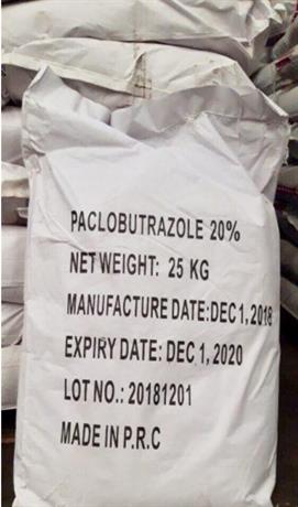 HÓA CHẤT PACLOBUTRAZOL C15H20CLN3O 20%, 95%, 15%